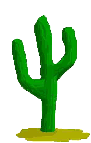 cactus